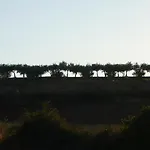 Casa Da Ti Cura