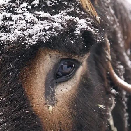 Casa Da Ti Cura Casa de Campo