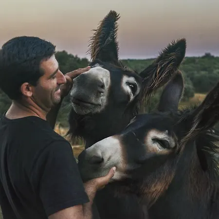 Casa Da Ti Cura * Atenor