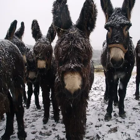 Casa Da Ti Cura Casa de Campo