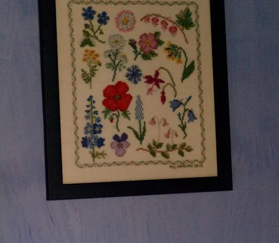 Casa Da Ti Cura Kır Evi