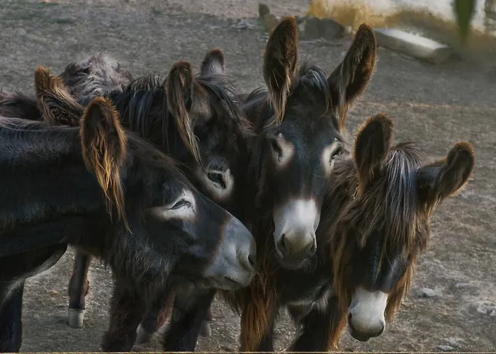 Kır Evi Casa Da Ti Cura Atenor