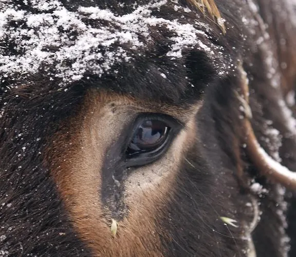 Casa Da Ti Cura Casa di campagna