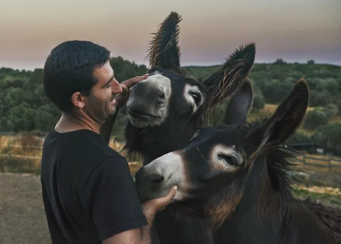 Casa Da Ti Cura * Atenor