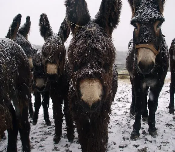 Casa Da Ti Cura Kır Evi